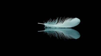 A single white feather displayed with its perfect mirrored reflection