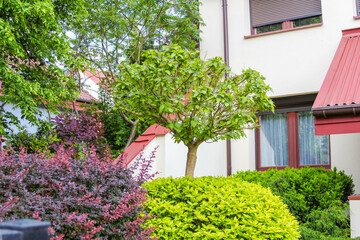 Lush Landscaping Around Modern Residential Building with Colorful Flowering Plants and Manicured Hedges