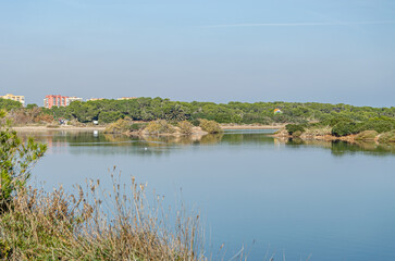 Obraz premium Artificial pond in the Albufera Natural Park, Valencia, Spain