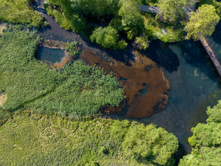 Albania, Pogradec Drilon national park fauna e flora park, 