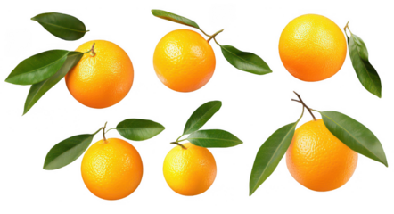 a collection of orange fruits with leaves, png, transparent