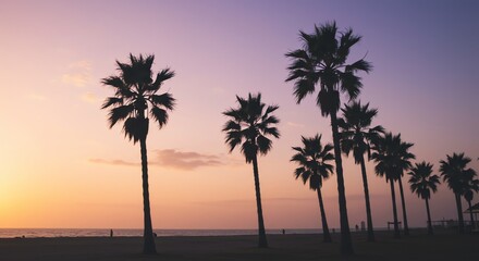 Obraz premium Palm Trees Silhouetted Against Sunset on Beach