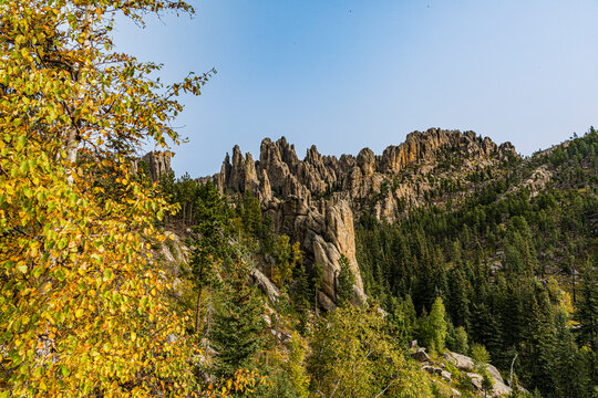 Steep and rocky and forested slopes define much of the habitat at Custer State Park.