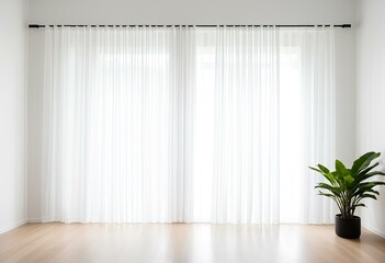 A potted plant sitting next to a window in a room.