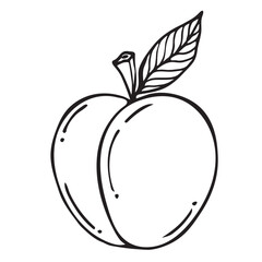 Peach sketch. Beautiful cartoon black and white outline. Hand drawn fruit illustration for greeting cards, posters, recipe, culinary design. Isolated on white background. 