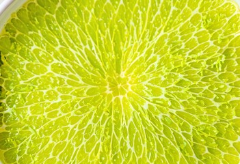 A close up of a slice of lime on a white plate.