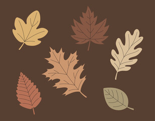 autumn leaves collection vector scalable colorful leaf illustrations strokes graphic resources unique shapes brown background