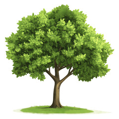2D green tree isolated on white