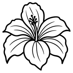 Black and white line art of a fully bloomed hibiscus with five wavy, veined petals, visible stamen, and three detailed leaves. Clean, botanical style for coloring book or tattoo