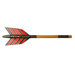 A Lacquered Arrow with Korean Tiger Stripes Mountain Isolated on Transparent Background