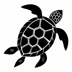 turtle vector illustration
