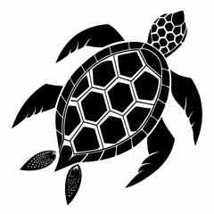 Obraz premium turtle vector illustration