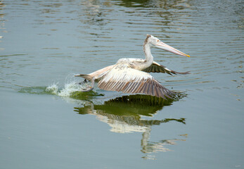 Take off
