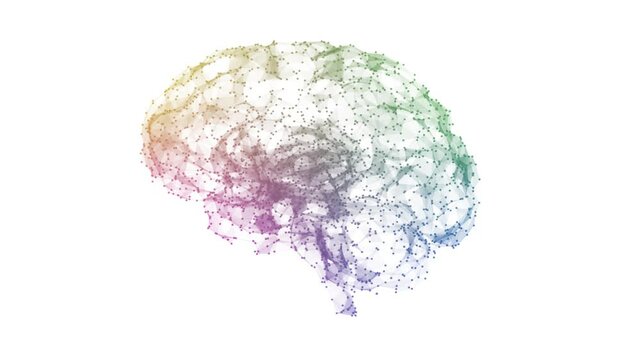 Building Neural Network - Artificial Intelligence - Network shaped brain on white background 4K seamless loop multi color	