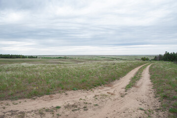 Two winding dirt roads converge and diverge, leading to a picturesque green meadow dotted with trees and shrubs under a cloudy sky, creating a serene and attractive natural landscape scene