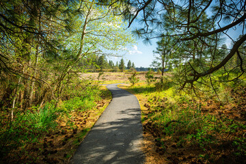 The entrance to the 1.6 mile Pine Lake Loop trail at the 23,000 acre Turnbull National Wildlife Refuge in Cheney, Washington State.