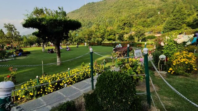 Chashme Shahi green Beautifully terraced garden and a colorful flowers make Chashma Shahi beautiful than any other parks and gardens of Kashmir. Shah Jahan's creation it.