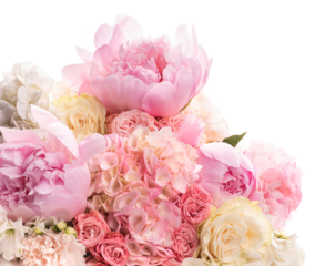 PNG. uxurious round bouquet of pink and white peonies, roses, hydrangeas and Asian buttercups.