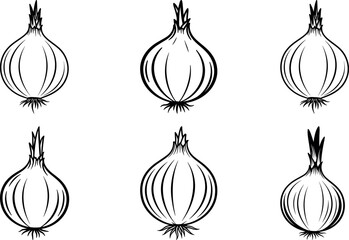Six line drawings of onions isolated on white background