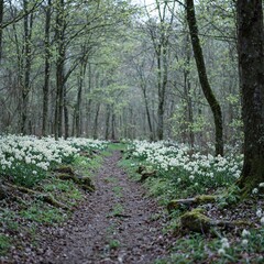Fototapeta premium Tranquil forest path in spring with blooming white flowers mossy logs and soft pastel hues for a serene atmosphere