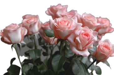 3D pixelated bush with pink roses, transparent background, PNG format
