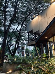 modern building in the city