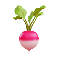 Isometric beetroot with soft lighting tiny