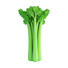 Isometric celery with soft lighting tiny