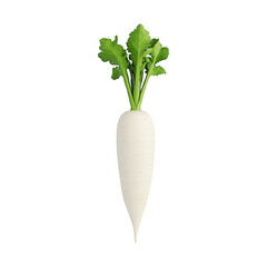 Isometric daikon radish with soft lighting tiny