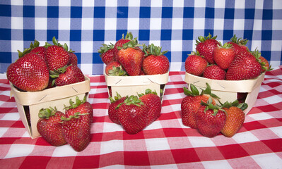 Fresh Strawberries on display on checkered cloth. .