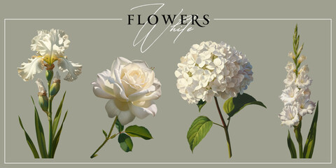 White garden flowers isolated on a neutral background. Vintage painting style illustration.
