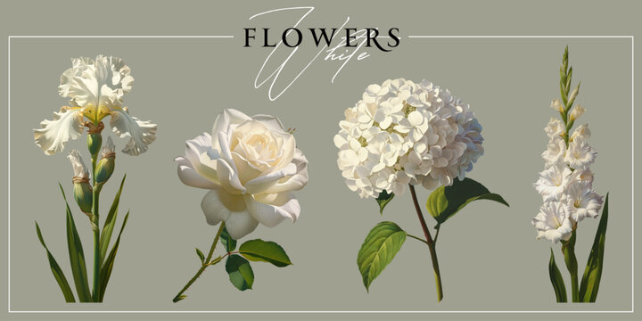 White garden flowers isolated on a neutral background. Vintage painting style illustration.