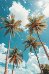 Tall palm trees reaching into a partly cloudy blue sky on a bright day with a warm and tropical atmosphere
