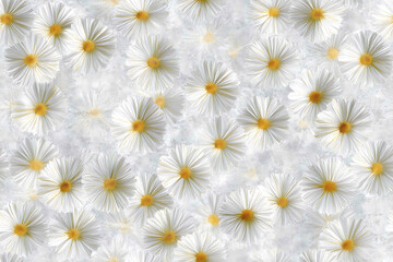 Blossom, white repetition, captivating daisy charm - Seamless , pattern , background , tile