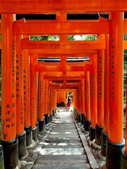 Vibrant Red Torii Gates at Fushimi Inari Taisha