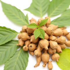 A pile of ashwagandha roots with fresh green leaves isolated on a white background