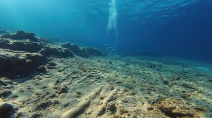 Fototapeta premium Underwater Serenity: A Glimpse into the Depths of the Ocean Floor Landscape