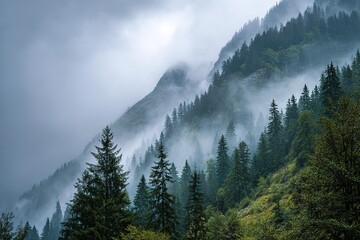 Misty Mountain Forest Landscape