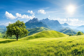 Fototapeta premium Large tree stands in a lush green field with mountains in the background