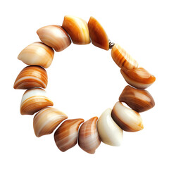 Trendy Shell Bracelet with Smooth Curved Shells Isolated on Transparent Background