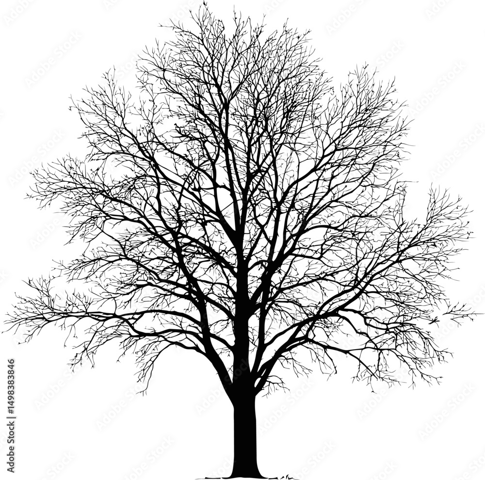 Poster silhouette of a bare winter tree with intricate branches in black and white. vector illustration