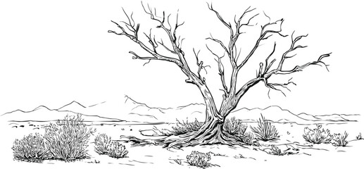Fototapeta premium Desolate desert landscape with barren tree in black and white illustration. Vector illustration