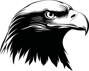 Fototapeta premium Black and white illustration of an eagle's head with fierce expression. Vector illustration