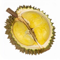Fototapeta premium Durians on Isolated White Background – Spiky King of Fruits with Bold Yellow Segments and Strong Aroma Detail
