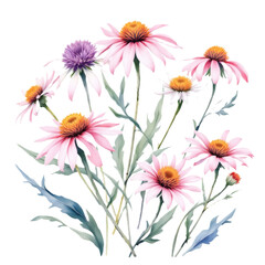 Vibrant Echinacea Flowers Watercolor Painting, Pastel Botanical