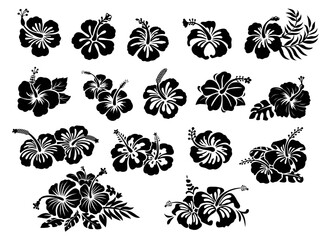 Hawaii tropical hibiscus flowers set, black stencil silhouette tattoo. Vector monochrome Hawaiian and Polynesian vegetation blooms, floral decals, isolated elements of culture, beauty and nature