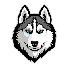 Husky Dog Head Illustration: Gray and White Fur, Blue Eyes vector art logo