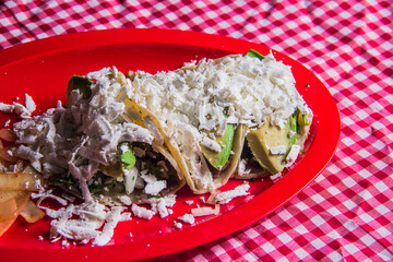 Colorful traditional tacos adorned with fresh vegetables, ample cheese, and vibrant flavors create a wholesome meal that’s perfect for satisfying cravings.