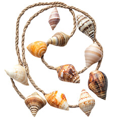 Trendy Rustic Shell Necklace with an Assortment of Rope with Shells Isolated on Transparent Background