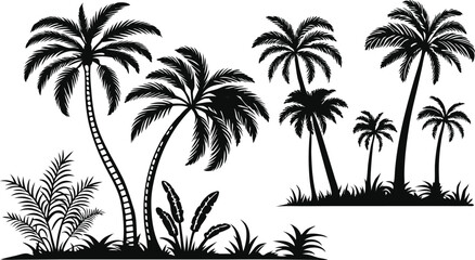 palm trees silhouettes